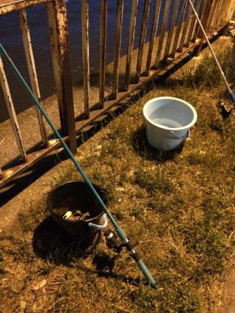 淀川のウナギパート3