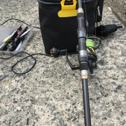 泳がせサイトシーバス