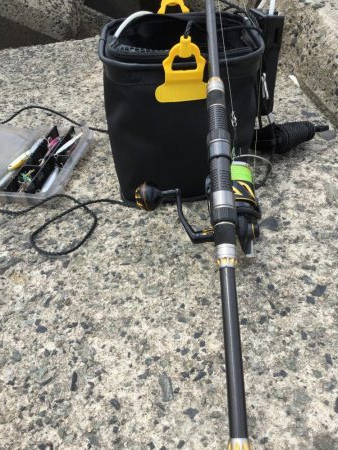 泳がせサイトシーバス