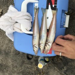 明日は天ぷら〜