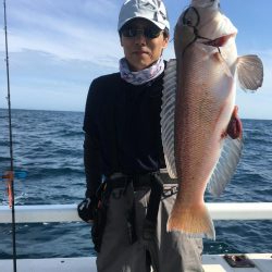 高級魚喰い喰い❗️ 鯛ラバ船 駿河湾大宝丸