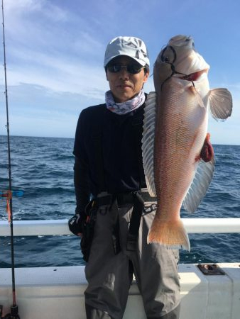 高級魚喰い喰い❗️ 鯛ラバ船 駿河湾大宝丸