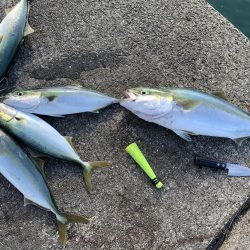 短時間、ミノー縛り