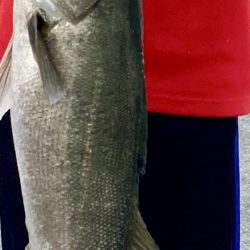 自粛明けのご褒美！