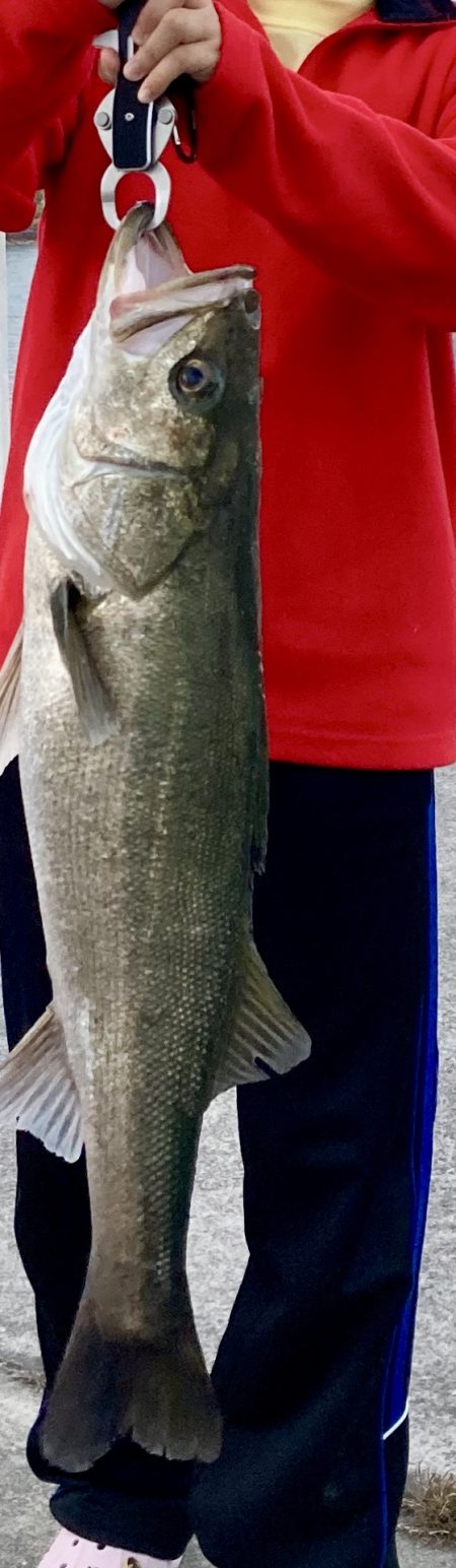 自粛明けのご褒美！