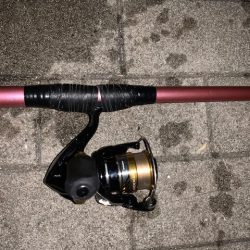 メバル１６匹　絶好調