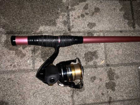 メバル１６匹　絶好調