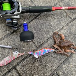 タコ釣り　まだ早いかな