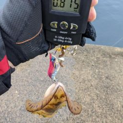 キロアップならず