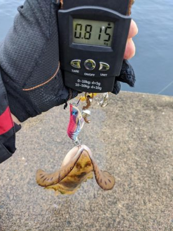 キロアップならず