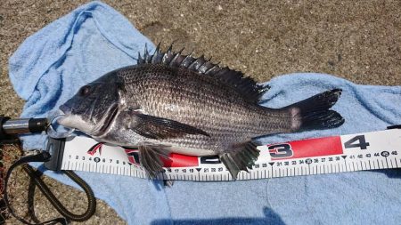 自粛明け初釣行