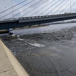 岸ジギで年無し!