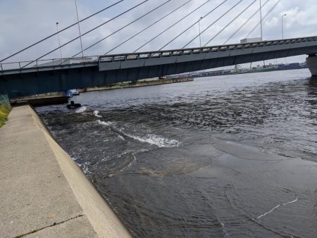 岸ジギで年無し!