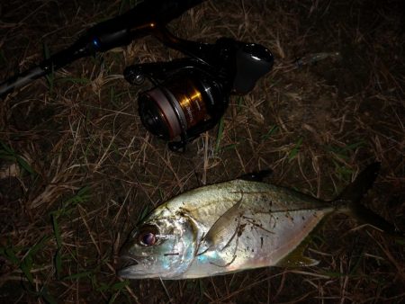 渋いがサイズUP