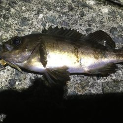 粘り強くやりました！