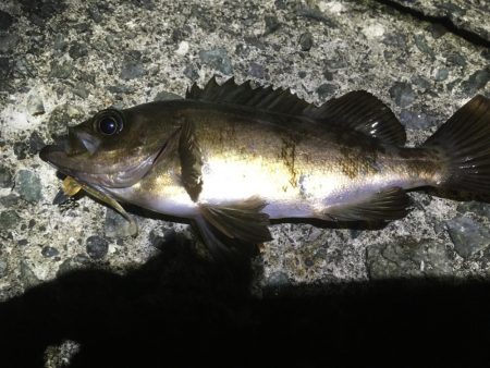 粘り強くやりました！