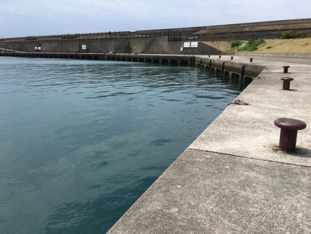 コサバ200匹、キス7匹