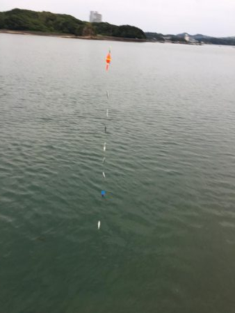 真鯛、良型アジ（28㎝）