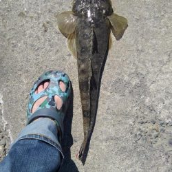 サイズアップ♪