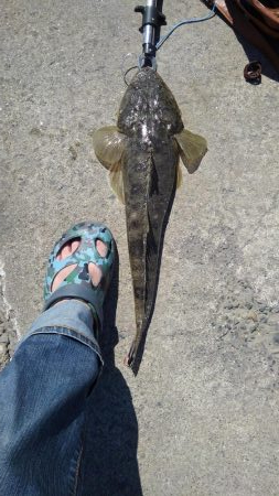 サイズアップ♪