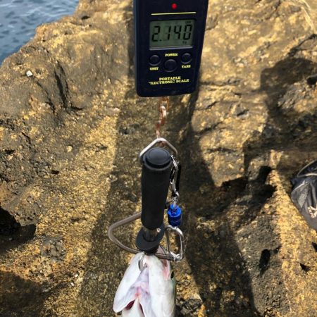 佐渡　ライトショアジギング！