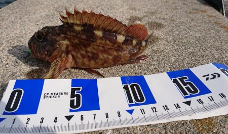 南港ガシリング