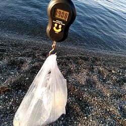 春は、大型が狙えますね！！