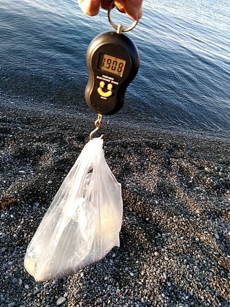 春は、大型が狙えますね！！