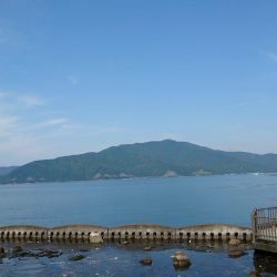 自粛明けは茶色だけかぁ