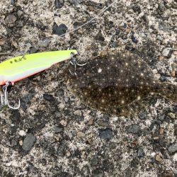 大物はいづこへ