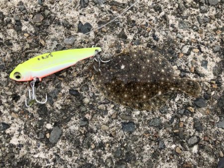 大物はいづこへ