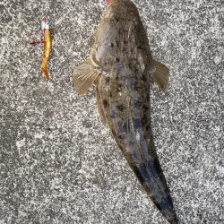 朝まずめの外道