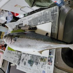 後2センチほしかった!