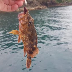 久々マイボートエギング