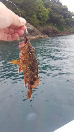 久々マイボートエギング