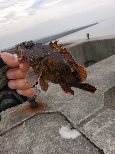 青物不発でライトゲームで休憩