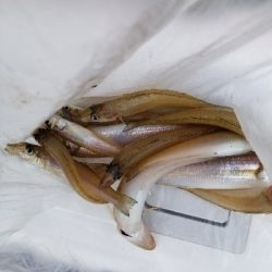 自粛中につき県内です