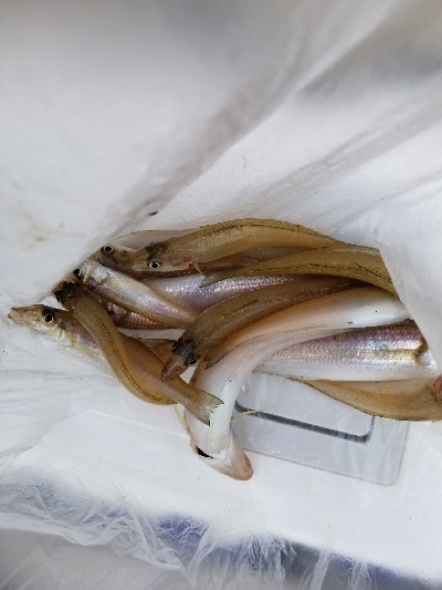 自粛中につき県内です