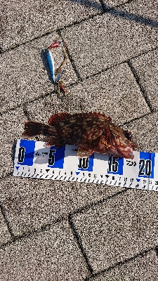 南港ガシリング