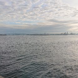 青物狙いワインド