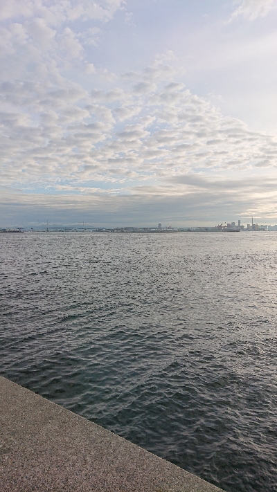 青物狙いワインド