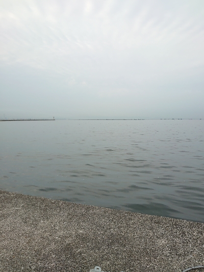 サゴシ　ハマチ狙い