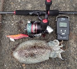 渋い中、なんとか2杯