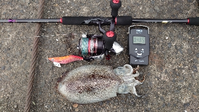 渋い中、なんとか2杯