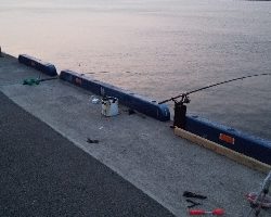 タコ… 早くね?