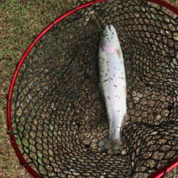 久しぶりの管理釣り場