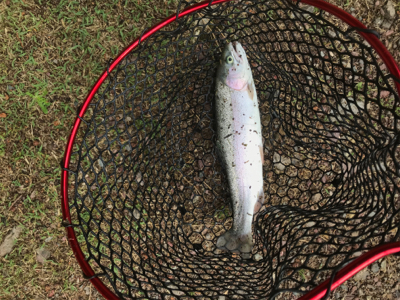 久しぶりの管理釣り場