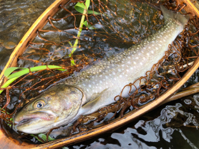 ミノーイングの練習