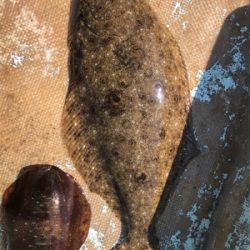 タイラバエギング