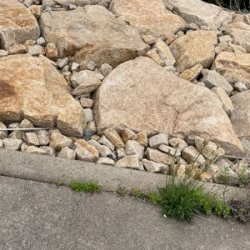 ヒラメ狙いでしたが